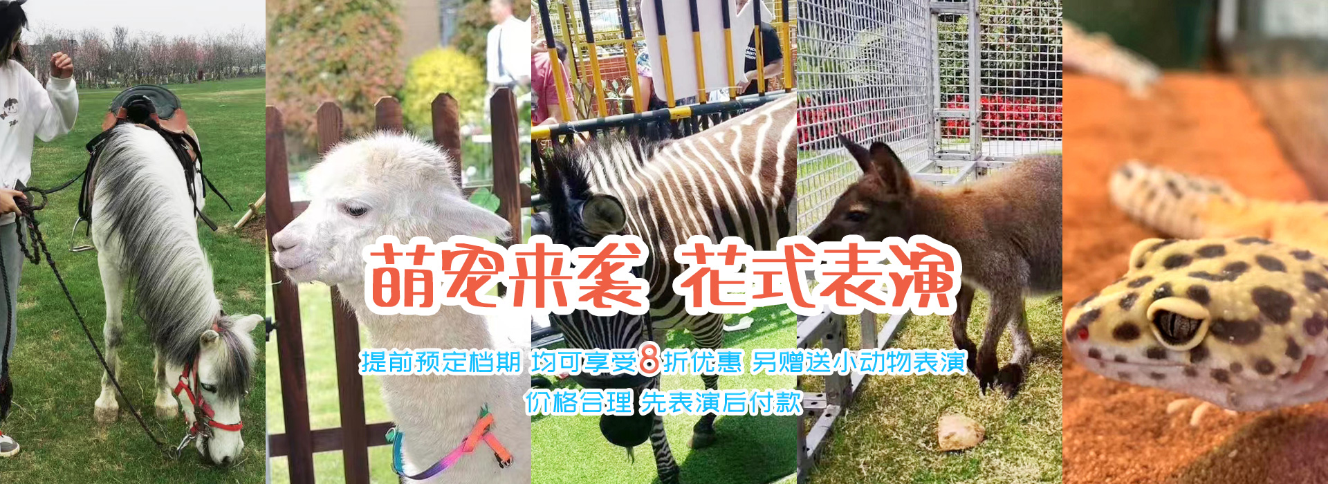 濟寧東瑞珍禽養(yǎng)殖有限公司