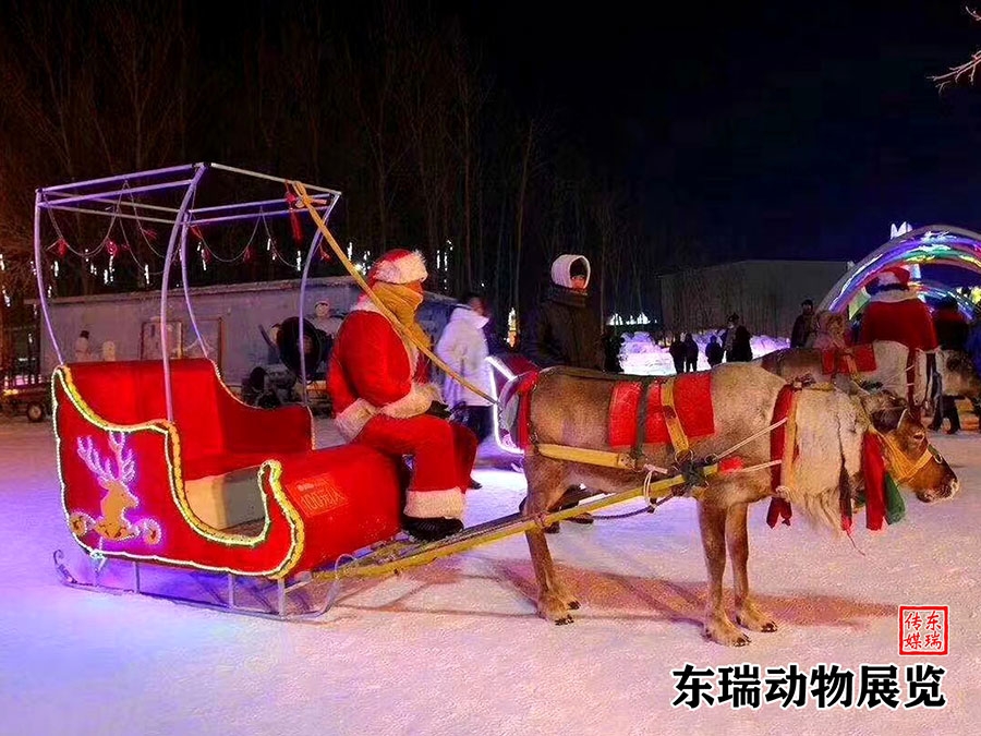 圣誕節(jié)馴鹿