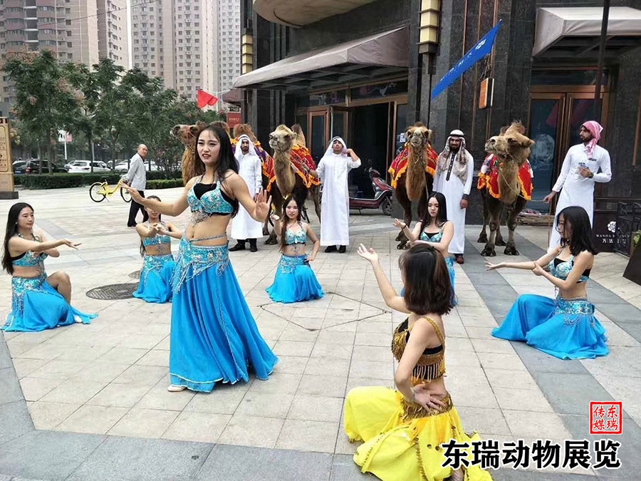 駱駝?wù)故?></div><ol>駱駝?wù)故?/ol></a></li><li><a href=