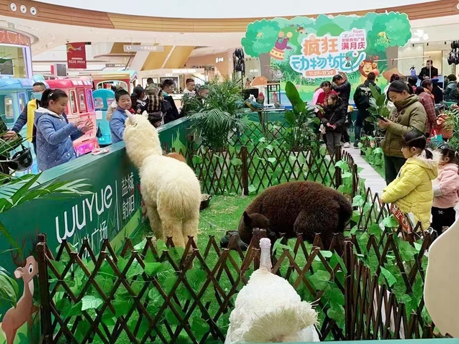 羊駝?wù)故?></a></dt>
<dd><a href=